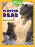 Winter Bear (eBook, PDF)