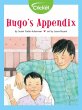 Hugo's Appendix (eBook, PDF) - Bild 1