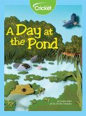 Day at the Pond (eBook, PDF)
