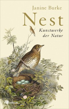 Nest (eBook, ePUB) - Burke, Janine