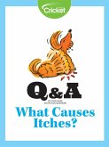 What Causes Itches? (eBook, PDF)