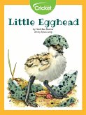 Little Egghead (eBook, PDF)