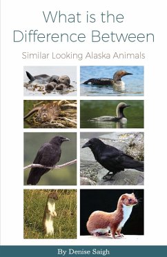 Cover What is the Difference Between (eBook, ePUB)