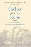 Shelter From The Storm (eBook, ePUB)