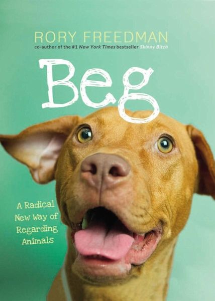 Beg (eBook, ePUB) Beg (eBook, ePUB)
