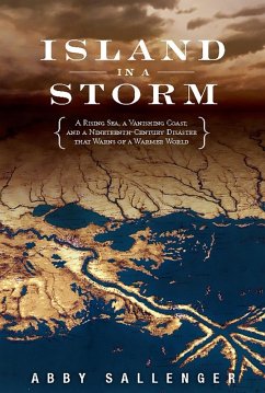 Island in a Storm (eBook, ePUB) - Sallenger, Abby