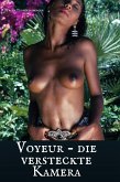 Voyeur - die versteckte Kamera (eBook, ePUB)