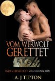 Vom Werwolf Gerettet: Eine M-M Liebesgeschichte mit Gestaltswandlern (Die Werwölfe aus Singer Valley, #4) (eBook, ePUB)