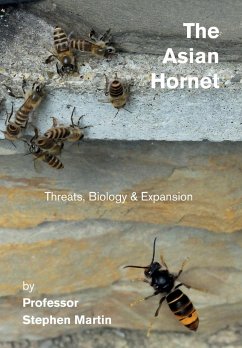 The Asian Hornet - Martin, Stephen John