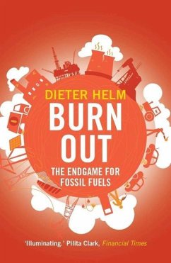 Burn Out - Helm, Dieter