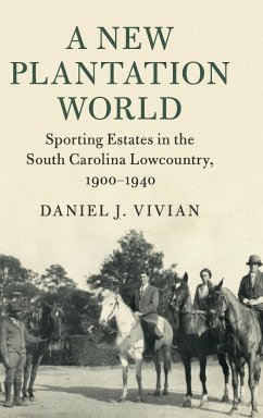 A New Plantation World - Vivian, Daniel J.