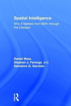 Spatial Intelligence - Ness, Daniel; Farenga, Stephen J; Garofalo, Salvatore G