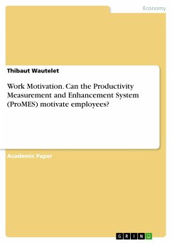Work Motivation. Can the Productivity Measurement and Enhancement System (ProMES) motivate employees? (eBook, PDF) - Wautelet, Thibaut