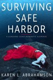 Surviving Safe Harbor (eBook, ePUB)