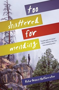Cover Too Shattered for Mending (eBook, ePUB)