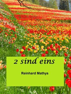 Cover 2 sind eins (eBook, ePUB)