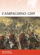Campaldino 1289 - Bild 1