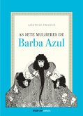 As Sete Mulheres de Barba Azul (eBook, ePUB)