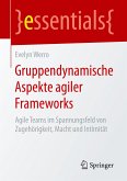 Gruppendynamische Aspekte agiler Frameworks