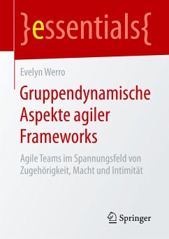 Gruppendynamische Aspekte agiler Frameworks - Werro, Evelyn
