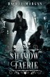 Shadow Faerie (eBook, ePUB) - Bild 1