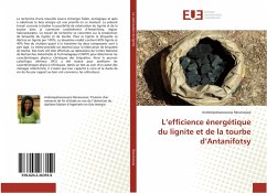 L¿efficience énergétique du lignite et de la tourbe d¿Antanifotsy - Ranaivosoa, Andompahasoavana