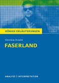 Faserland von Christian Kracht. Textanalyse und Interpretation. (eBook, ePUB)