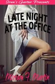Late Night at the Office (eBook, ePUB) Late Night at the Office (eBook, ePUB)