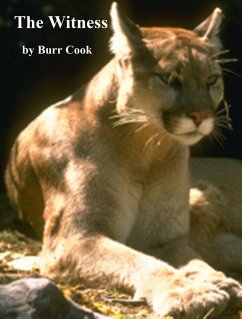 Cover The Witness (eBook, ePUB)