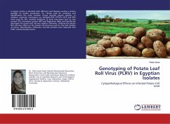 Genotyping of Potato Leaf Roll Virus (PLRV) in Egyptian Isolates