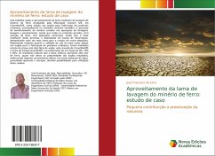 Aproveitamento da lama de lavagem do minério de ferro: estudo de caso