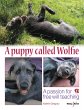 A Puppy Called Wolfie - Bild 1