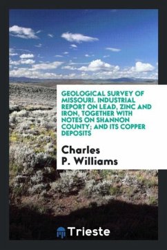 Geological Survey of Missouri. Industrial Report on Lead, Zinc and Iron, Together with Notes on Shannon County; And Its Copper Deposits - Williams, Charles P.