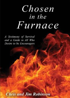 Cover Chosen in the Furnace