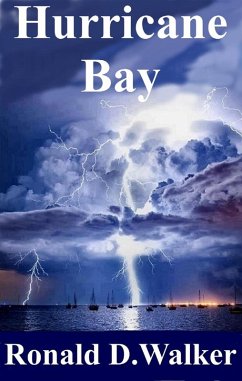 Hurricane Bay (eBook, ePUB) - Walker, Ronald D.