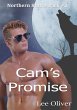 Cam's Promise (eBook, ePUB) - Bild 1