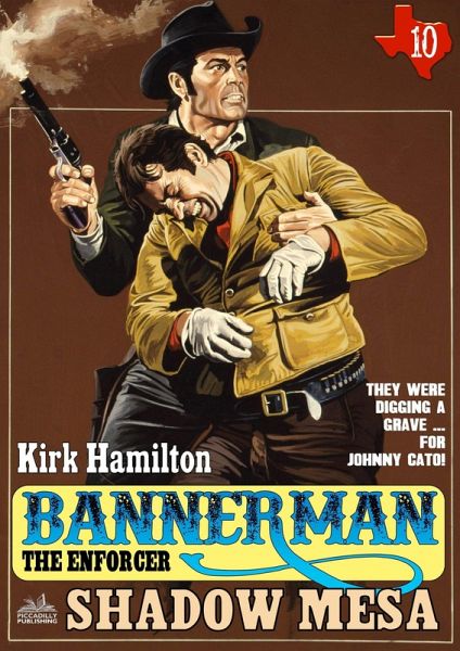 Bannerman the Enforcer 10: Shadow Mesa (eBook, ePUB)