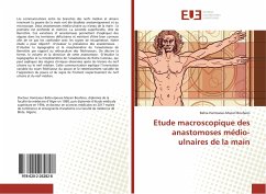 Etude macroscopique des anastomoses médio-ulnaires de la main - Hamzaoui-Mazari Boufares, Bahia