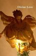 Divine Love (eBook, ePUB) - Bild 1