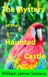 The Mystery of the Haunted Castle... - Bild 1