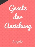 Gesetz der Anziehung (eBook, ePUB)