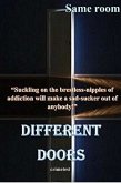 Same Room - Different Doors (eBook, ePUB)