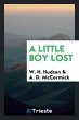 A Little Boy Lost - Bild 1