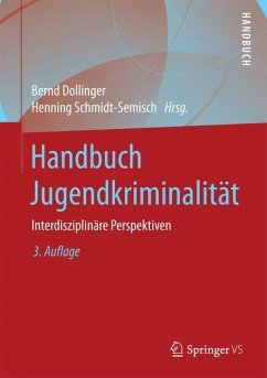 Handbuch Jugendkriminalität