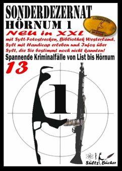 Sonderdezernat Hörnum 1 (eBook, ePUB)
