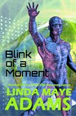 Blink of a Moment (eBook, ePUB)