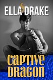 Captive Dragon (Wild Seas, #1) (eBook, ePUB)