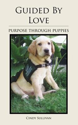 Guided By Love (eBook, ePUB)