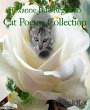 Cat Poems Collection (eBook, ePUB) - Bild 1