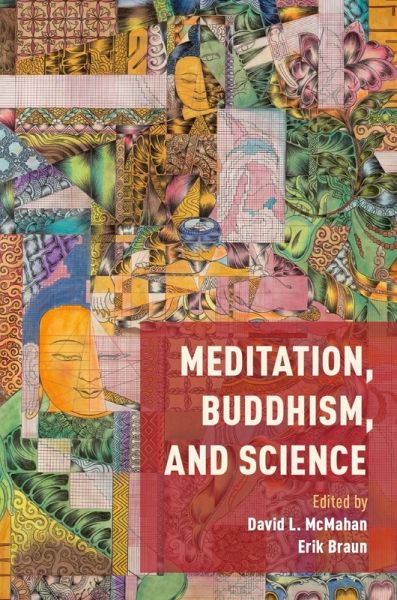 Meditation, Buddhism, and Science (eBook, ePUB)